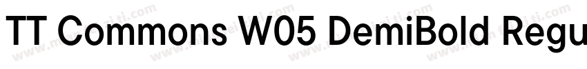 TT Commons W05 DemiBold Regular下载字体转换